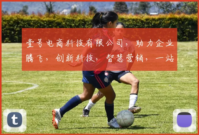 壹号电商科技有限公司，助力企业腾飞，创新科技，智慧营销，一站式解决方案，成就辉煌未来