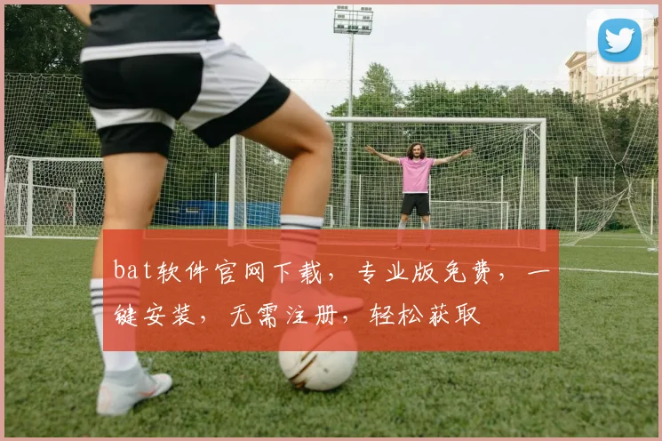 bat软件官网下载，专业版免费，一键安装，无需注册，轻松获取
